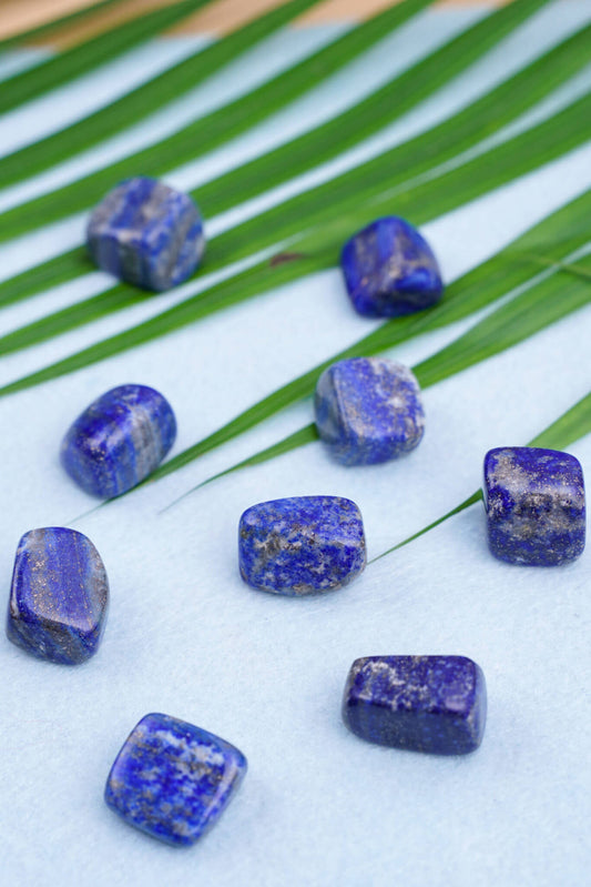 Lapis Lazuli Tumble Stones